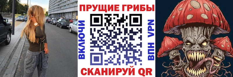 Псилоцибиновые грибы ЛСД  Купить закладки  Ершов 